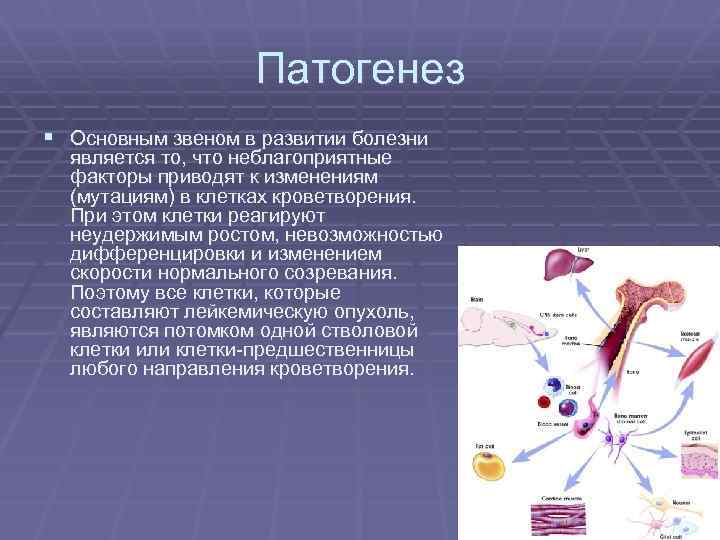 Патогенез § Основным звеном в развитии болезни является то, что неблагоприятные факторы приводят к