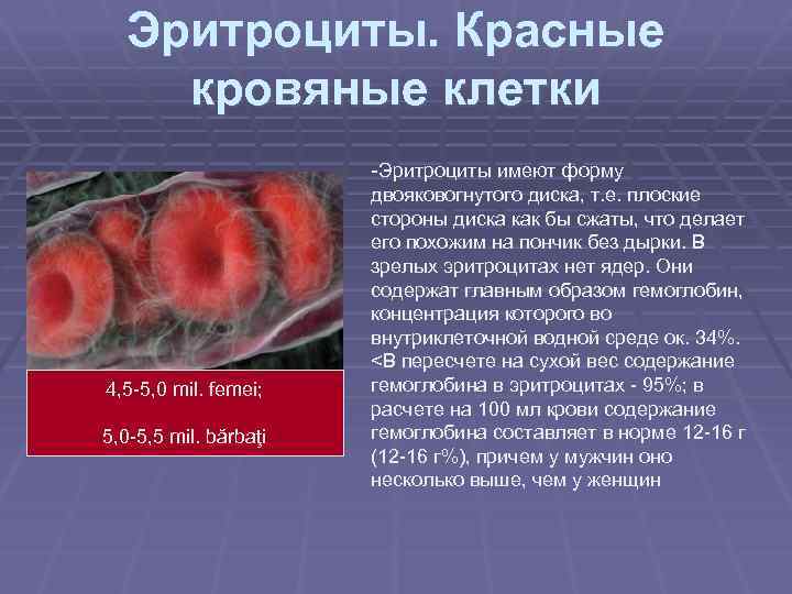 Эритроциты. Красные кровяные клетки -Эритроциты имеют форму 4, 5 -5, 0 mil. femei; 5,