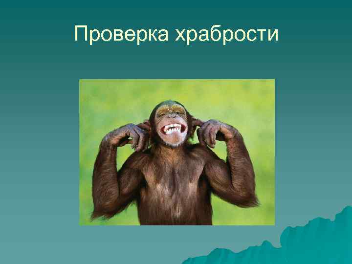 Проверка храбрости 