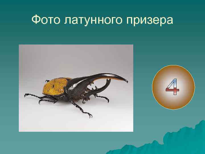 Фото латунного призера 