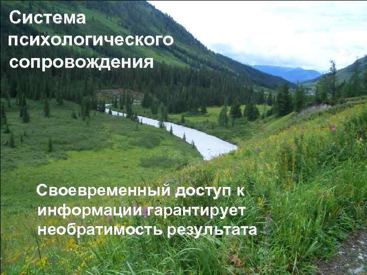 Система психологического сопровождения Своевременный доступ к информации гарантирует необратимость результата 