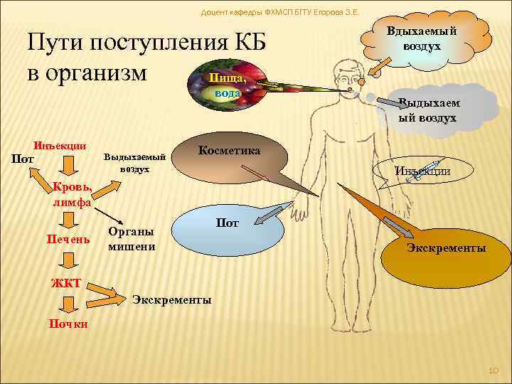 Вещества поступающие в организм. Поступление воздуха в организм из. Пути поступления атмосферы. Медь пути поступления в организм с пищей. Написать цепочку поступления пищи в организме.