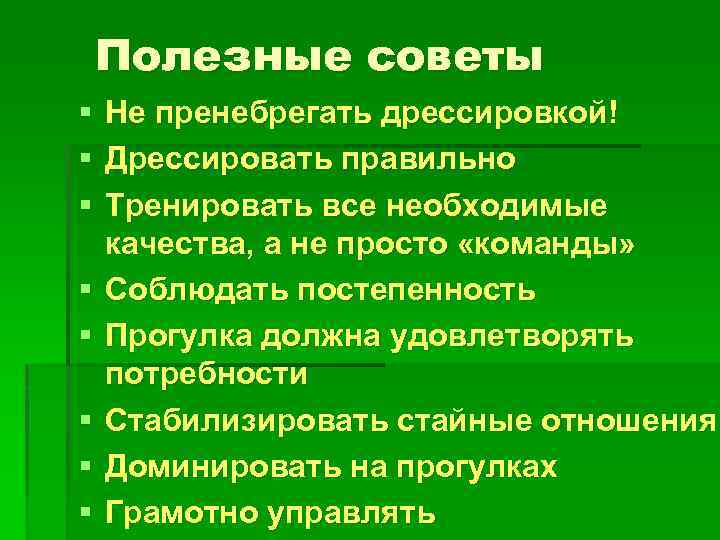 Полезные советы § § § § Не пренебрегать дрессировкой! Дрессировать правильно Тренировать все необходимые