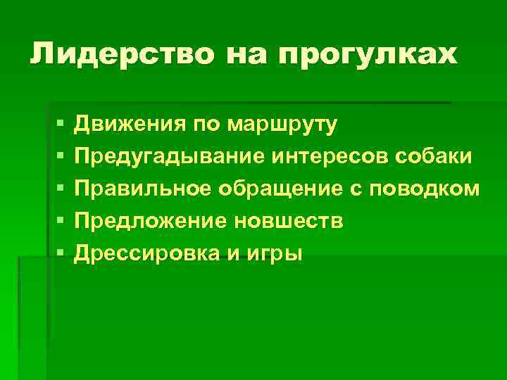 Лидерство на прогулках § § § Движения по маршруту Предугадывание интересов собаки Правильное обращение