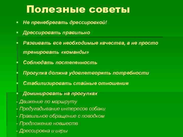 Полезные советы § Не пренебрегать дрессировкой! § Дрессировать правильно § Развивать все необходимые качества,