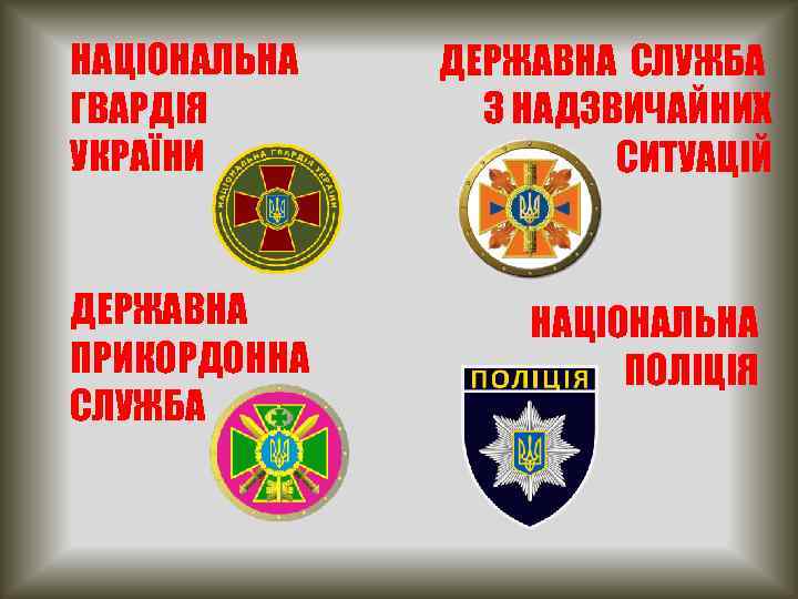 НАЦІОНАЛЬНА ГВАРДІЯ УКРАЇНИ ДЕРЖАВНА ПРИКОРДОННА СЛУЖБА ДЕРЖАВНА СЛУЖБА З НАДЗВИЧАЙНИХ СИТУАЦІЙ НАЦІОНАЛЬНА ПОЛІЦІЯ 