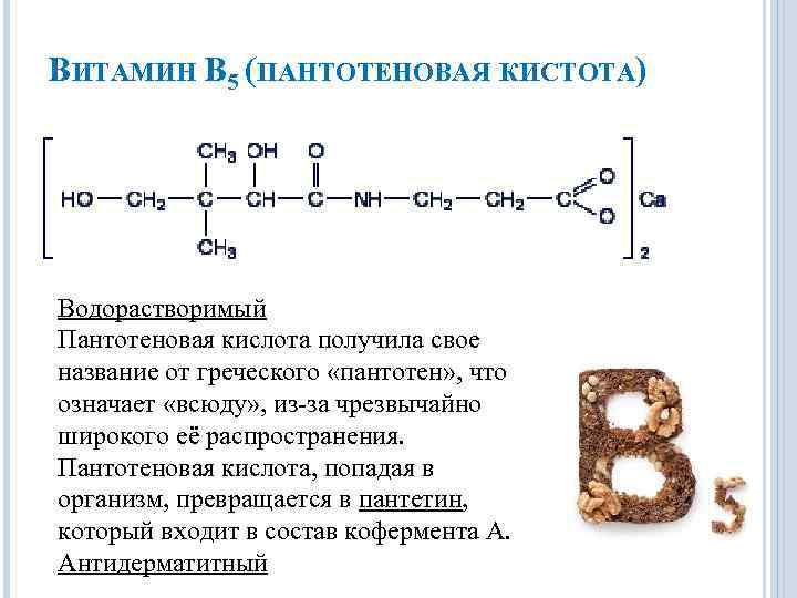ВИТАМИН В 5 (ПАНТОТЕНОВАЯ КИСТОТА) Водорастворимый Пантотеновая кислота получила свое название от греческого «пантотен»