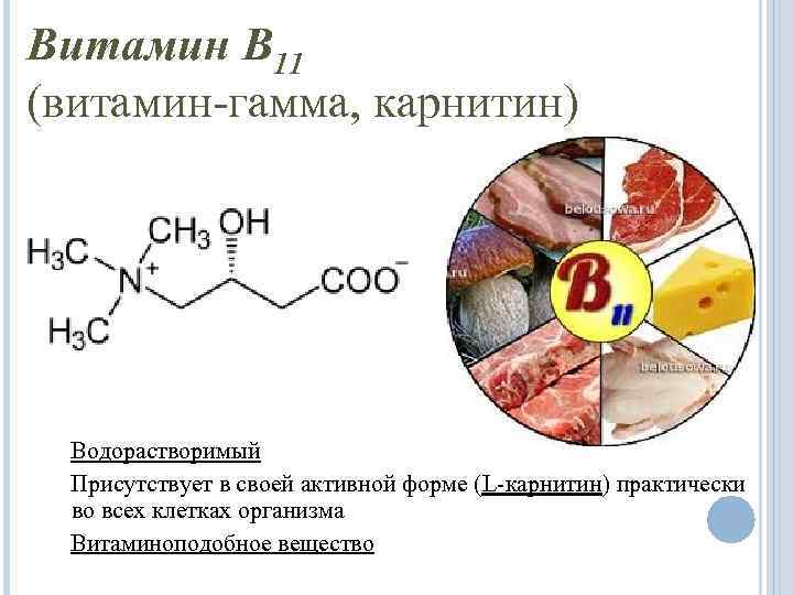 Витамин В 11 (витамин гамма, карнитин) Водорастворимый Присутствует в своей активной форме (L карнитин)