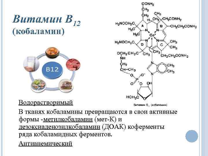 Витамин В 12 (кобаламин) Водорастворимый В тканях кобаламины превращаются в свои активные формы метилкобаламин