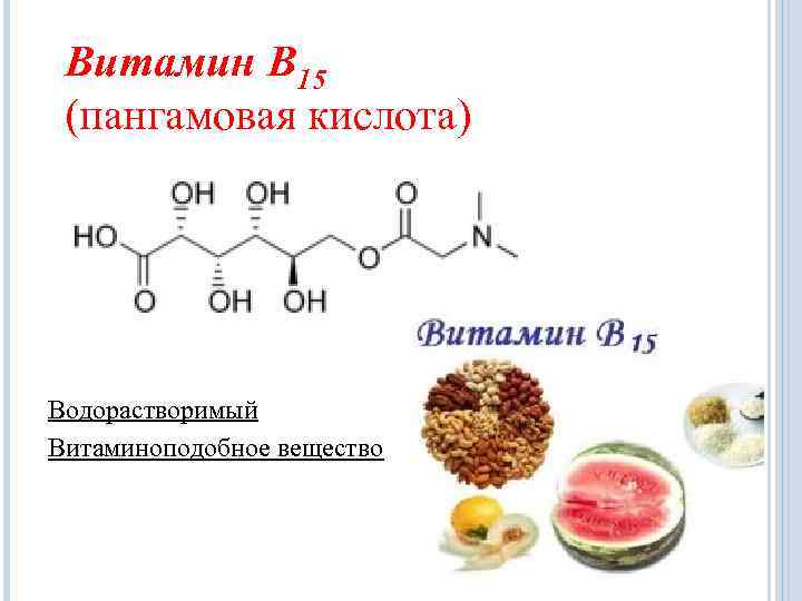 Витамин В 15 (пангамовая кислота) Водорастворимый Витаминоподобное вещество 