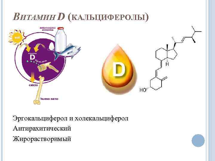 ВИТАМИН D (КАЛЬЦИФЕРОЛЫ) Эргокальциферол и холекальциферол Антирахитический Жирорастворимый 