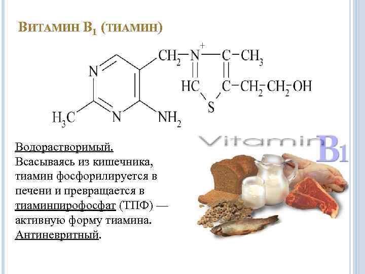 ВИТАМИН В 1 (ТИАМИН) Водорастворимый. Всасываясь из кишечника, тиамин фосфорилируется в печени и превращается