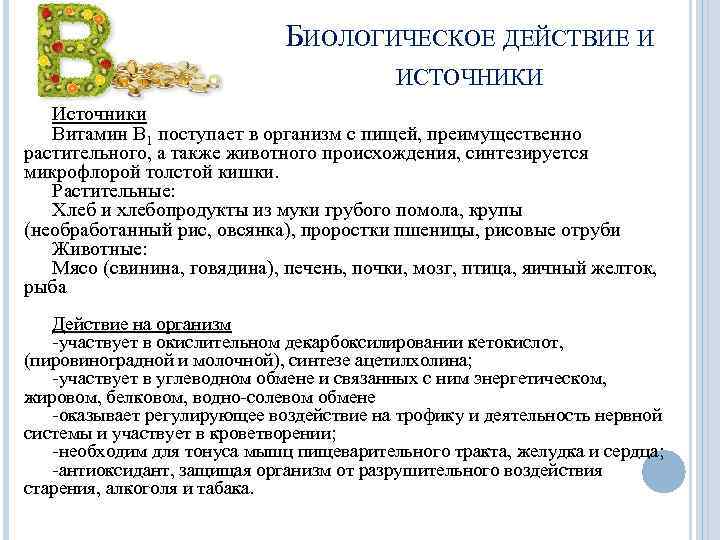 БИОЛОГИЧЕСКОЕ ДЕЙСТВИЕ И ИСТОЧНИКИ Источники Витамин B 1 поступает в организм с пищей, преимущественно