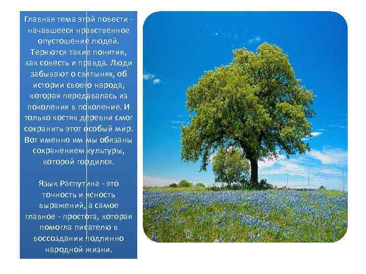 Главная тема этой повести начавшееся нравственное опустошение людей. Теряются такие понятия, как совесть и