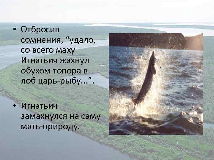  • Отбросив сомнения, “удало, со всего маху Игнатьич жахнул обухом топора в лоб