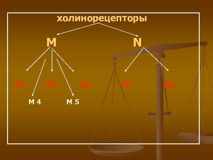 холинорецепторы M М 1 N М 2 M 4 М 3 M 5 Nn
