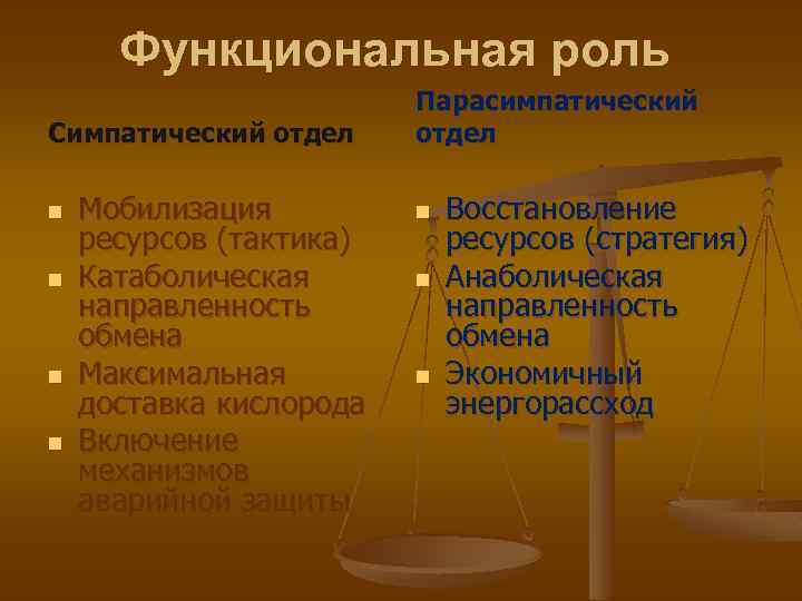 Функциональная роль Симпатический отдел n n Мобилизация ресурсов (тактика) Катаболическая направленность обмена Максимальная доставка