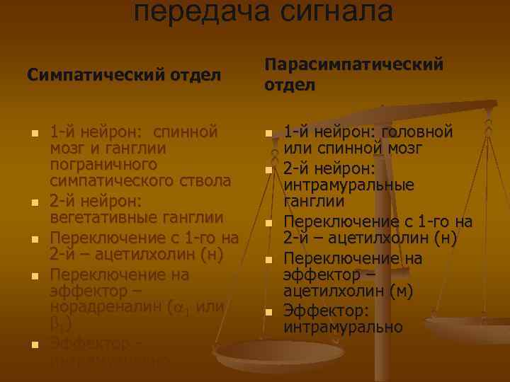 передача сигнала Симпатический отдел n n n 1 -й нейрон: спинной мозг и ганглии