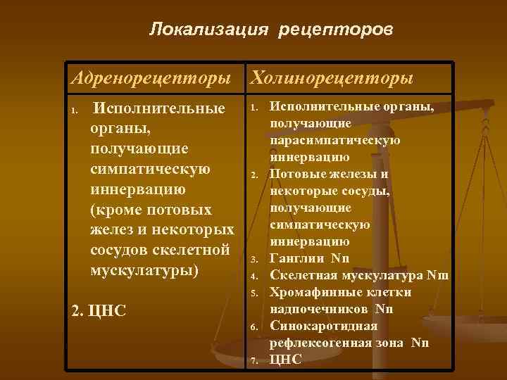 Локализация рецепторов Адренорецепторы Холинорецепторы 1. Исполнительные органы, получающие симпатическую иннервацию (кроме потовых желез и