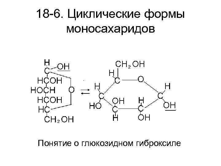 18 -6. Циклические формы моносахаридов Понятие о глюкозидном гиброксиле 