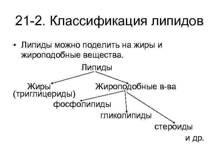 21 -2. Классификация липидов • Липиды можно поделить на жиры и жироподобные вещества. Липиды