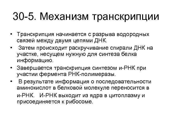 30 -5. Механизм транскрипции • Транскрипция начинается с разрыва водородных связей между двумя цепями