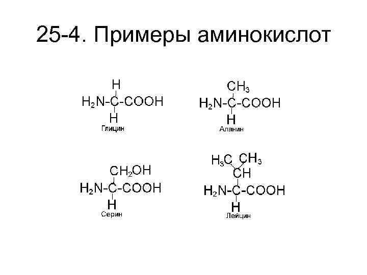 25 -4. Примеры аминокислот 