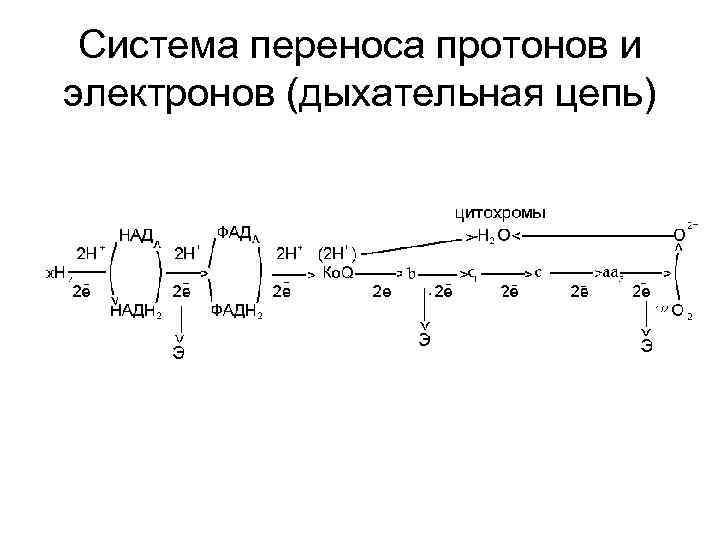 Цепь переноса