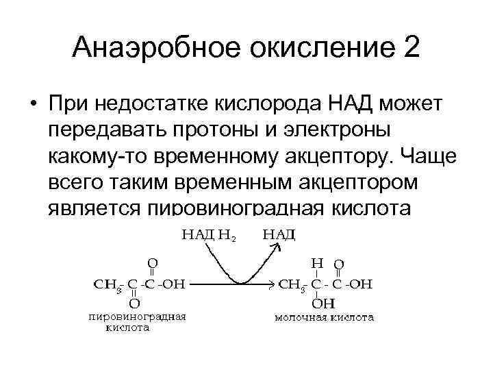 Анаэробное окисление 2 • При недостатке кислорода НАД может передавать протоны и электроны какому-то