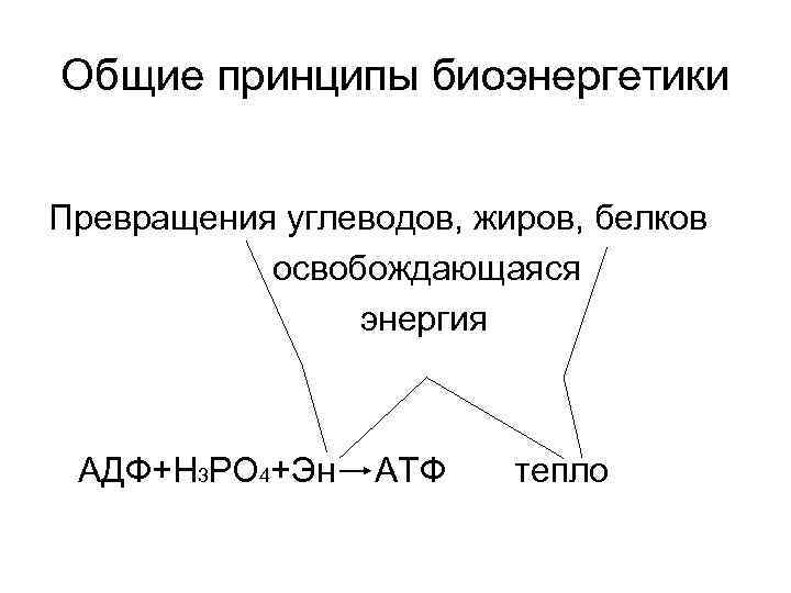 Общие принципы биоэнергетики Превращения углеводов, жиров, белков освобождающаяся энергия АДФ+Н 3 РО 4+Эн АТФ