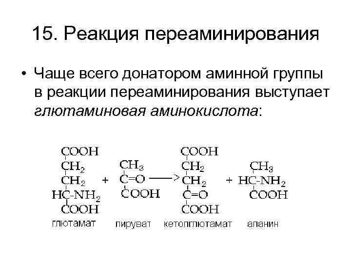 15. Реакция переаминирования • Чаще всего донатором аминной группы в реакции переаминирования выступает глютаминовая