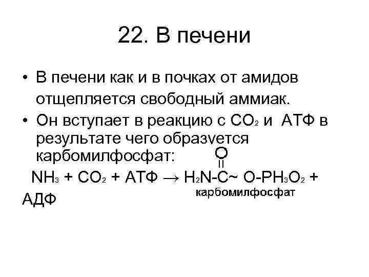 22. В печени • В печени как и в почках от амидов отщепляется свободный