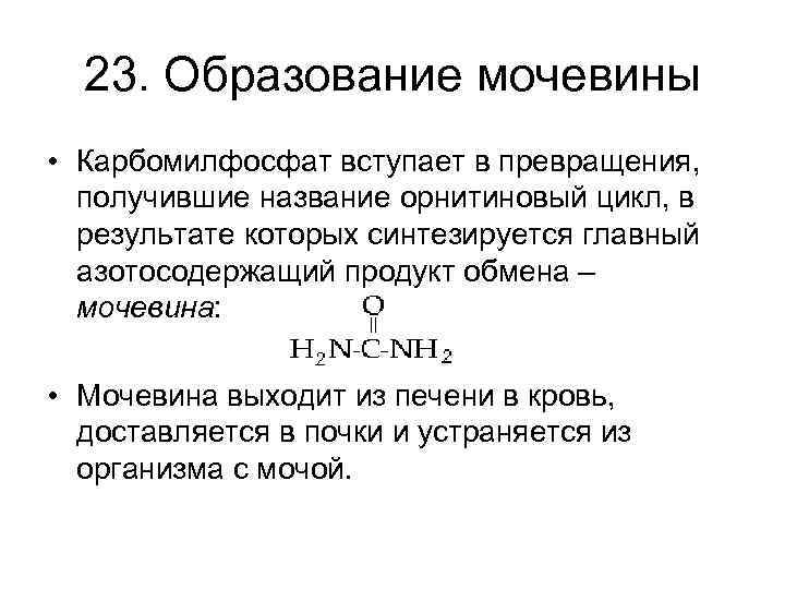 23. Образование мочевины • Карбомилфосфат вступает в превращения, получившие название орнитиновый цикл, в результате