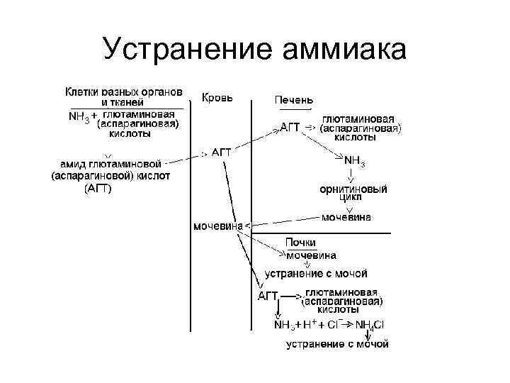 Устранение аммиака 