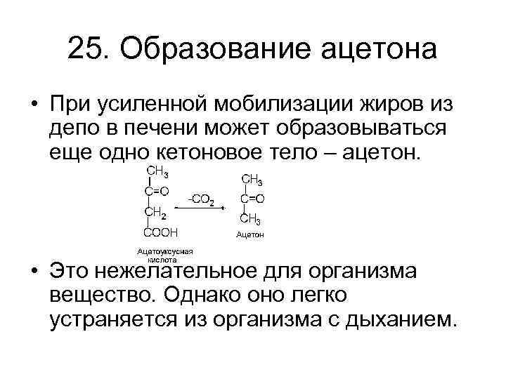 25. Образование ацетона • При усиленной мобилизации жиров из депо в печени может образовываться