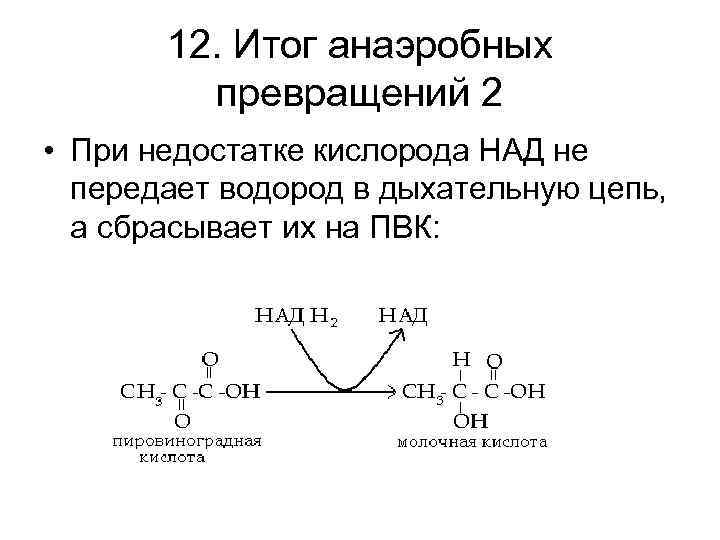 12. Итог анаэробных превращений 2 • При недостатке кислорода НАД не передает водород в