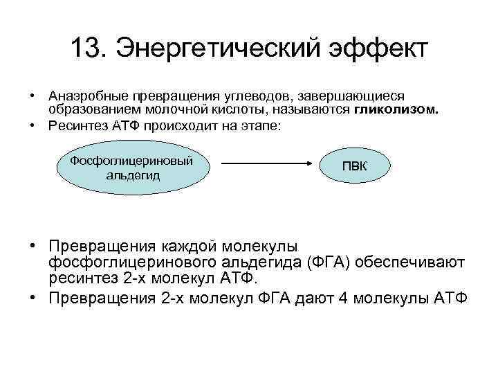 13. Энергетический эффект • Анаэробные превращения углеводов, завершающиеся образованием молочной кислоты, называются гликолизом. •