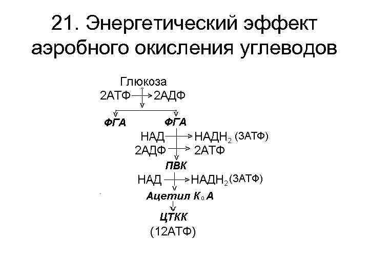 Сколько энергии выделяется при окислении углеводов