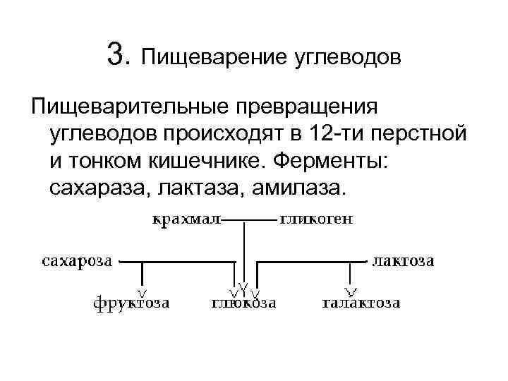 Ферменты участвующие в переваривании углеводов. Схема переваривания углеводов. Переваривание углеводов таблица. Схема пищеварения углеводов. Ферменты переваривания углеводов.