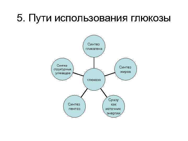 5. Пути использования глюкозы Синтез гликогена Синтез структурных углеводов Синтез жиров глюкоза Синтез пентоз