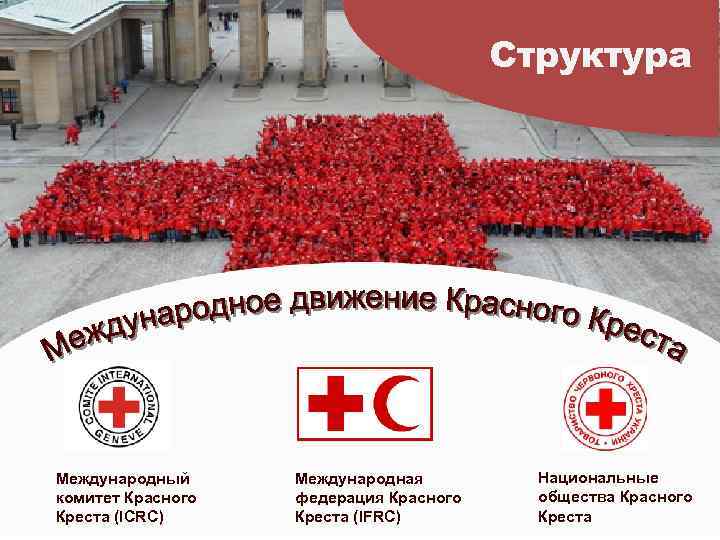 Структура Международный комитет Красного Креста (IСRC) Международная федерация Красного Креста (IFRC) Национальные общества Красного