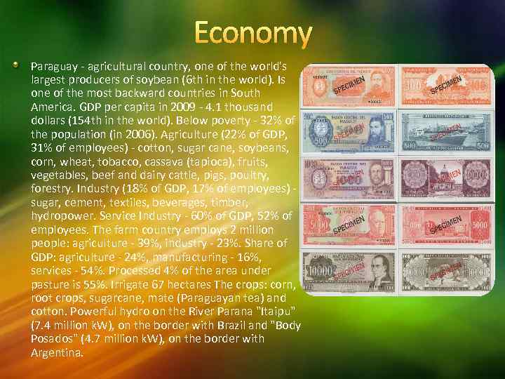 Economy Paraguay - agricultural country, one of the world's largest producers of soybean (6