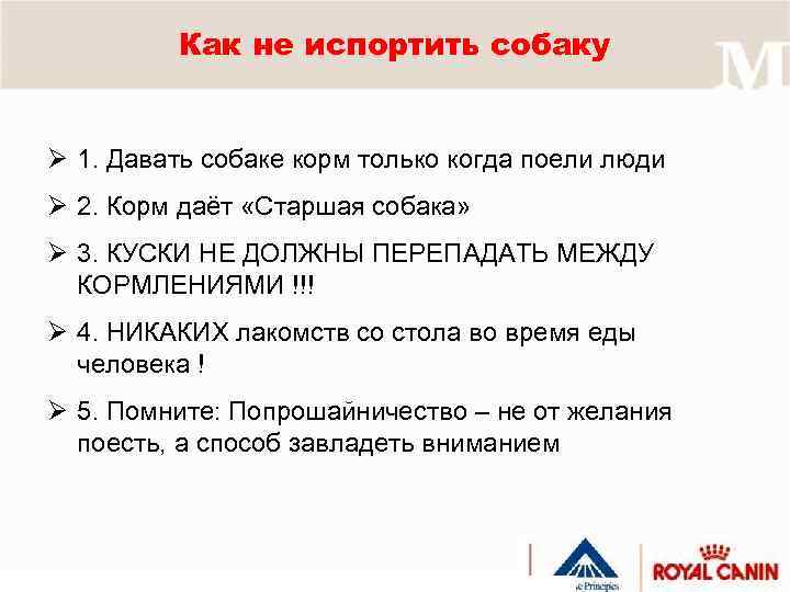 Как не испортить собаку Ø 1. Давать собаке корм только когда поели люди Ø