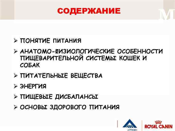 СОДЕРЖАНИЕ Ø ПОНЯТИЕ ПИТАНИЯ Ø АНАТОМО-ФИЗИОЛОГИЧЕСКИЕ ОСОБЕННОСТИ ПИЩЕВАРИТЕЛЬНОЙ СИСТЕМЫ КОШЕК И СОБАК Ø ПИТАТЕЛЬНЫЕ