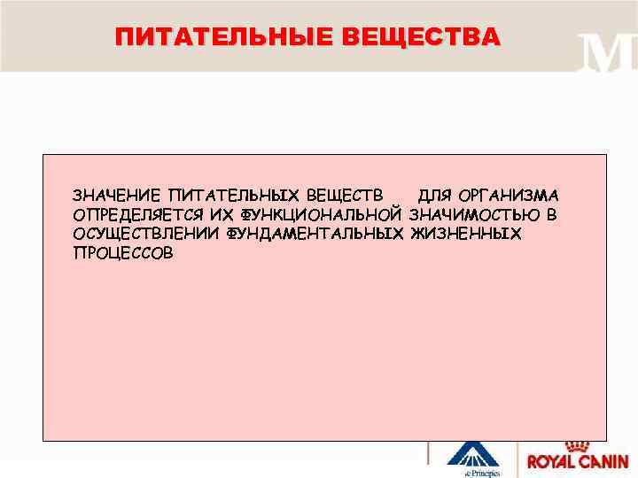 ПИТАТЕЛЬНЫЕ ВЕЩЕСТВА ЗНАЧЕНИЕ ПИТАТЕЛЬНЫХ ВЕЩЕСТВ ДЛЯ ОРГАНИЗМА ОПРЕДЕЛЯЕТСЯ ИХ ФУНКЦИОНАЛЬНОЙ ЗНАЧИМОСТЬЮ В ОСУЩЕСТВЛЕНИИ ФУНДАМЕНТАЛЬНЫХ