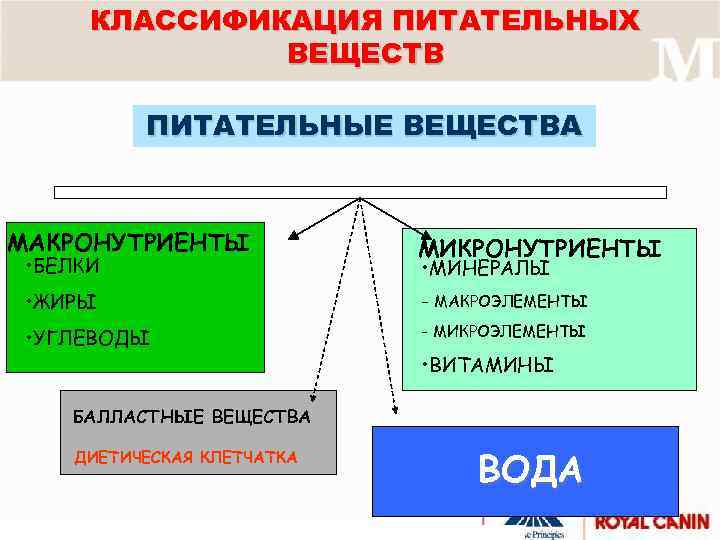 КЛАССИФИКАЦИЯ ПИТАТЕЛЬНЫХ ВЕЩЕСТВ ПИТАТЕЛЬНЫЕ ВЕЩЕСТВА МАКРОНУТРИЕНТЫ • БЕЛКИ МИКРОНУТРИЕНТЫ • МИНЕРАЛЫ • ЖИРЫ -