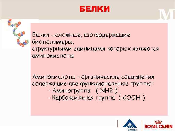 БЕЛKИ Белки - сложные, азотсодержащие биополимеры, структурными единицами которых являются аминокислоты Аминокислоты - органические