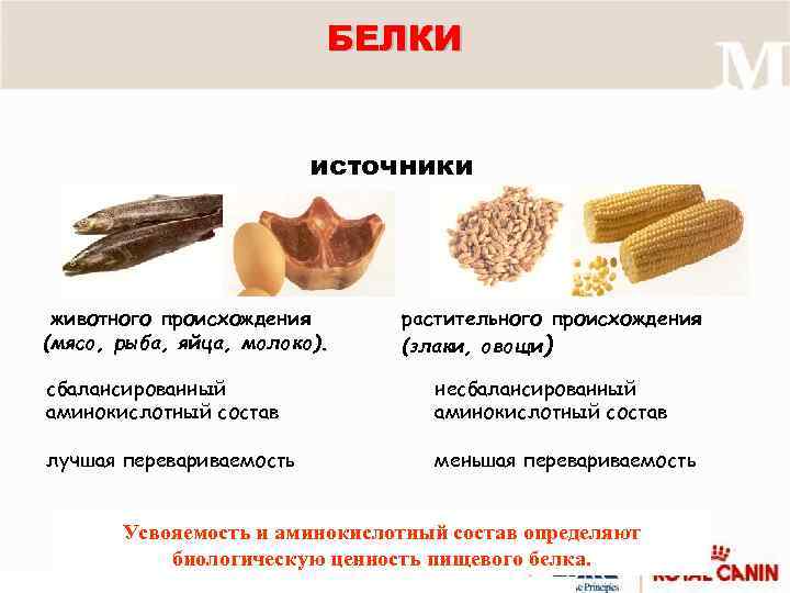 БЕЛКИ источники животного происхождения (мясо, рыба, яйца, молоко). растительного происхождения (злаки, овощи) сбалансированный аминокислотный