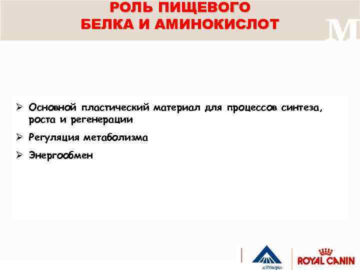 РОЛЬ ПИЩЕВОГО БЕЛКА И АМИНОКИСЛОТ Ø Основной пластический материал для процессов синтеза, роста и