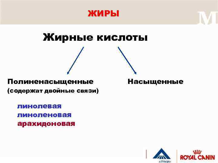 ЖИРЫ Жирные кислоты Полиненасыщенные (содержат двойные связи) линолевая линоленовая арахидоновая Насыщенные 